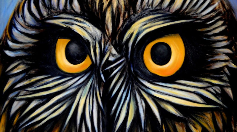 THE Owl